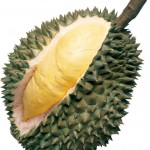 durianfruit